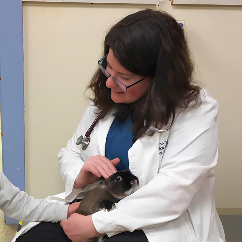 Dr. Jana with a pet bunny