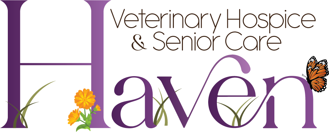 Haven Veterinary Hospice & Senior Care